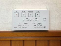 CES9151 NW1 TOTO ZJ1