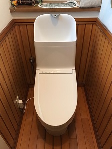 CES9151 NW1 TOTO ZJ1