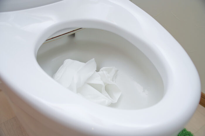 トイレの水を流すとすごい音がする原因と対処方法！放置のリスクや修理の費用も解説